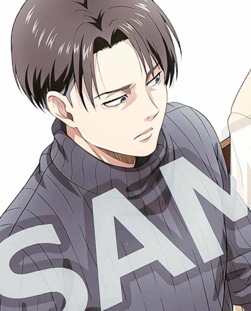 Most Popular Levi Ackerman Haircut