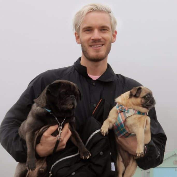 Most Popular Pewdiepie Hairstyle