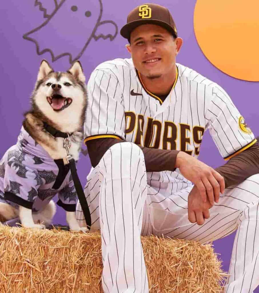 Most Recommended Manny Machado Hairstyle
