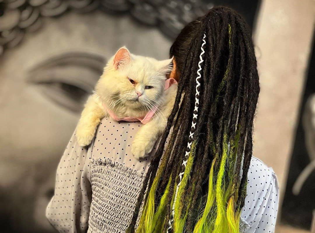 girl with eye-catching brown and yellow dyed dreads and cat